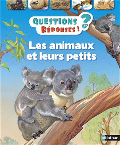 WOOD, Jenny; BATAILLE, Arianne: Questions réponses ! Tome 8 : Les animaux et leurs petits