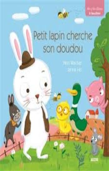 WALCKER, Yann; HO, Jannie: Petit lapin cherche son doudou