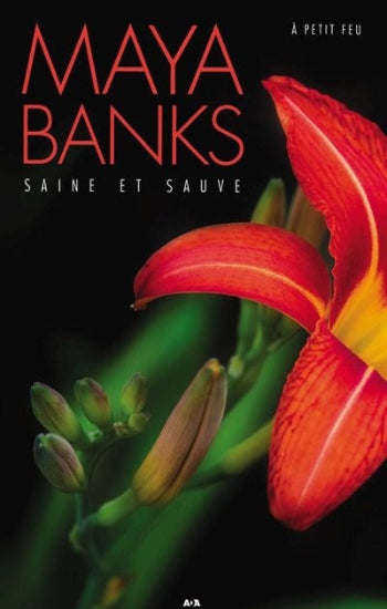 BANKS, Maya: À petit feu (3 volumes)