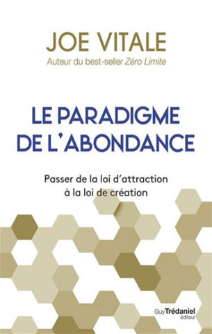 VITALE, Joe: Le paradigme de l'abondance