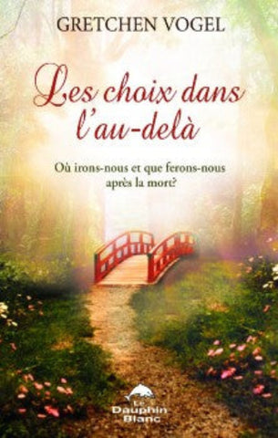 VOGEL, Gretchen: Les choix dans l'au-delà