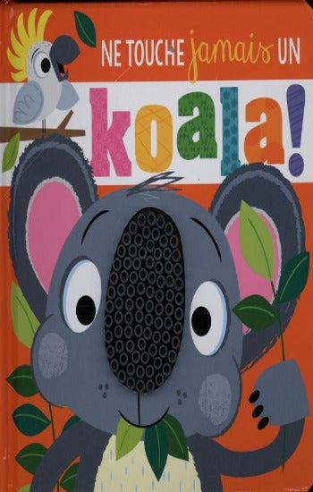 COLLECTIF: Ne touche jamais un koala !