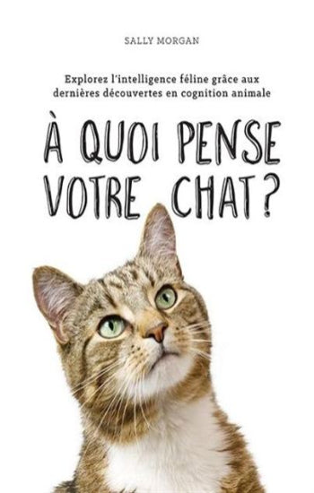 MORGAN, Sally: À quoi pense votre chat ?