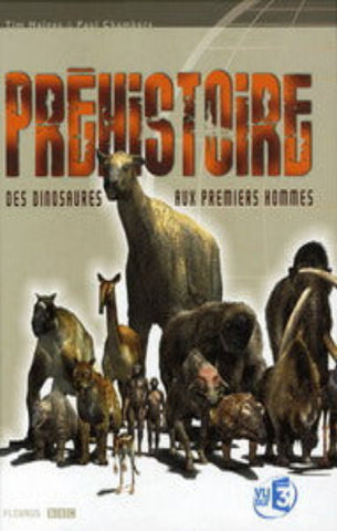 HAINES, Tim; CHAMBERS, Paul: Préhistoire des dinosaures aux premiers hommes