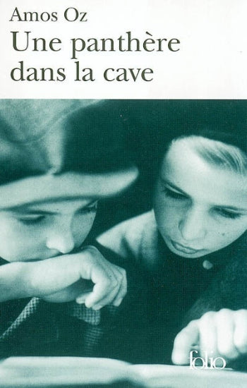 OZ, Amos: Une panthère dans la cave