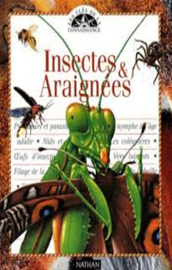 COLLECTIF: Insectes et araignées