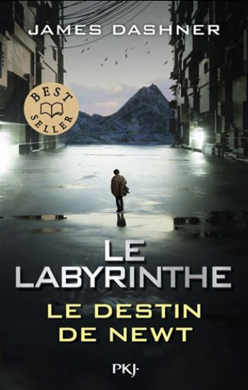 DASHNER, James: Le labyrinthe Le destin de newt