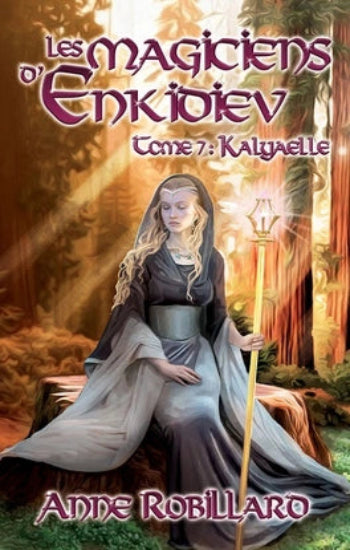 ROBILLARD, Anne: Les magiciens d'Enkidiel (7 volumes)
