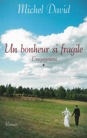 DAVID, Michel: Un bonheur si fragile (4 volumes - couvertures rigides)