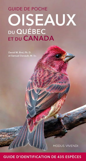 BIRD, David M.; DENAULT, Samuel: Guide de poche oiseaux du Québec et du Canada