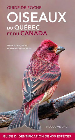 BIRD, David M.; DENAULT, Samuel: Guide de poche oiseaux du Québec et du Canada