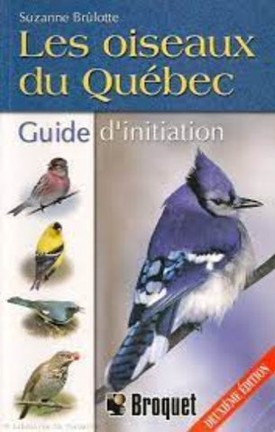 BRÛLOTTE, Suzanne: Les oiseaux du Québec - Guide d'initiation