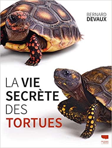 DEVAUX, Bernard: La vie secrète des tortues