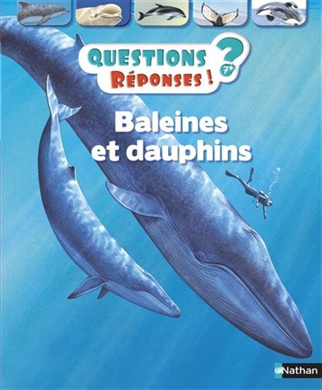 GUNZI, Christiane; DUTHOO, Aurélie: Questions réponses ! Tome 14 : Baleines et dauphins