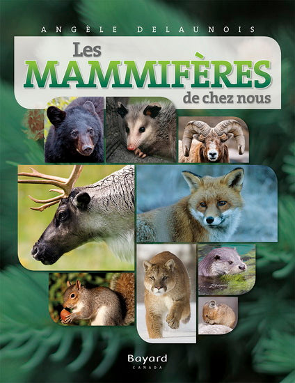 DELAUNOIS, Angèle: Les mammifères de chez nous
