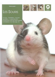 LAURENT, Olivier: Les souris