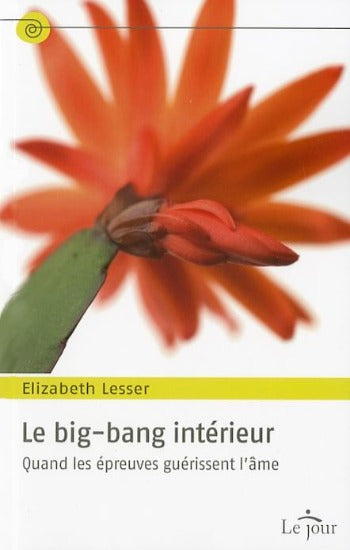 LESSER, Elizabeth: Le big-bang intérieur
