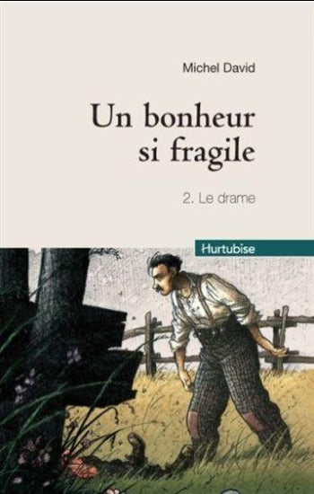 DAVID, Michel: Un bonheur si fragile (4 volumes)