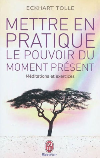 TOLLE, Eckhart: Mettre en pratique le pouvoir du moment présent