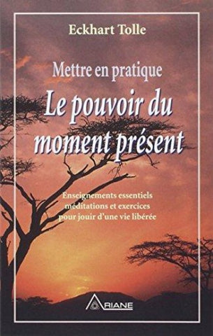 TOLLE, Eckhart: Mettre en pratique le pouvoir du moment présent