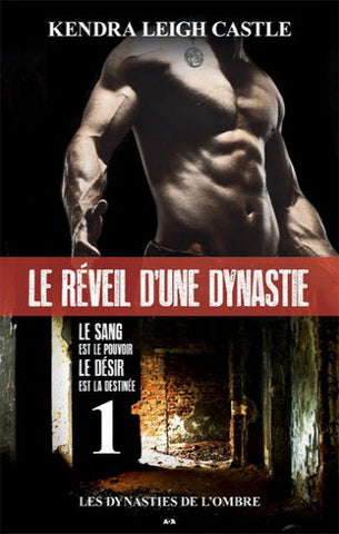 CASTLE, Kendra Leigh: Les dynasties de l'ombre (3 volumes)