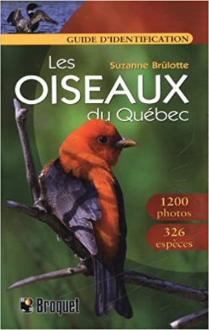 BRÛLOTTE, Suzanne: Les oiseaux du Québec - Guide d'identification