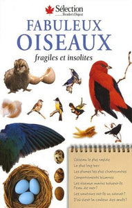 COLLECTIF: Fabuleux oiseaux fragiles et insolites