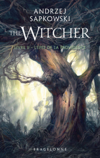 Sapkowski, Andrzej: The Witcher Tome 2 : L'épée de la providence