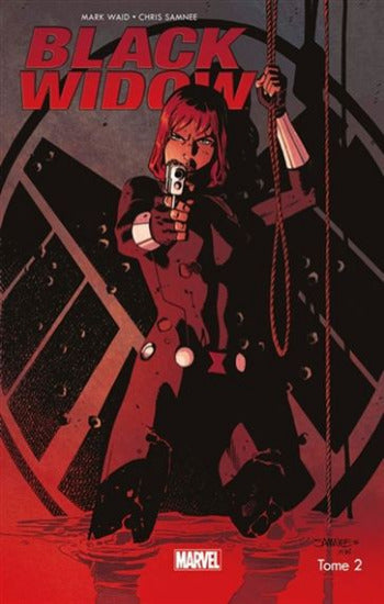 WAID, Mark; SAMNEE, Chris: Black Widow  Tome 2 : Plus de secrets